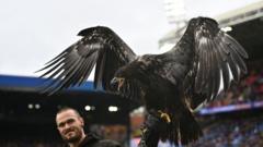 Animal Rights Group Urges Crystal Palace to Retire Live Eagle Mascot